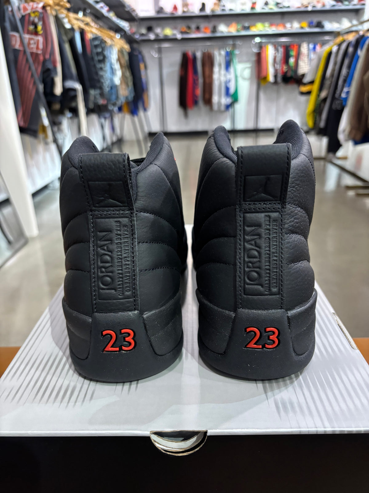 Air Jordan 12 Bloodline