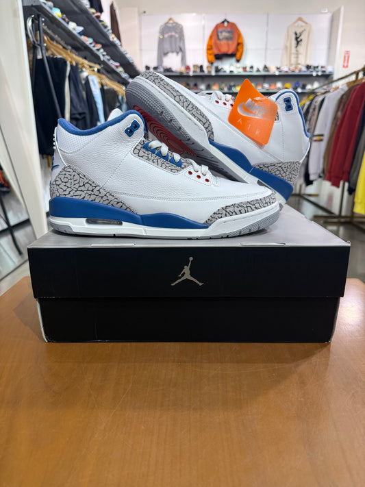 BRAND NEW Air Jordan 3 True Blue SIZE 11