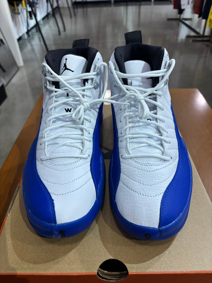 Air Jordan 12 Blueberry