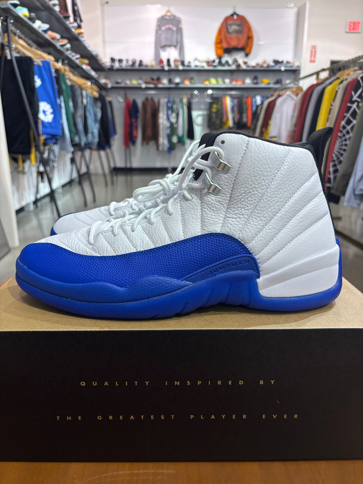Air Jordan 12 Blueberry