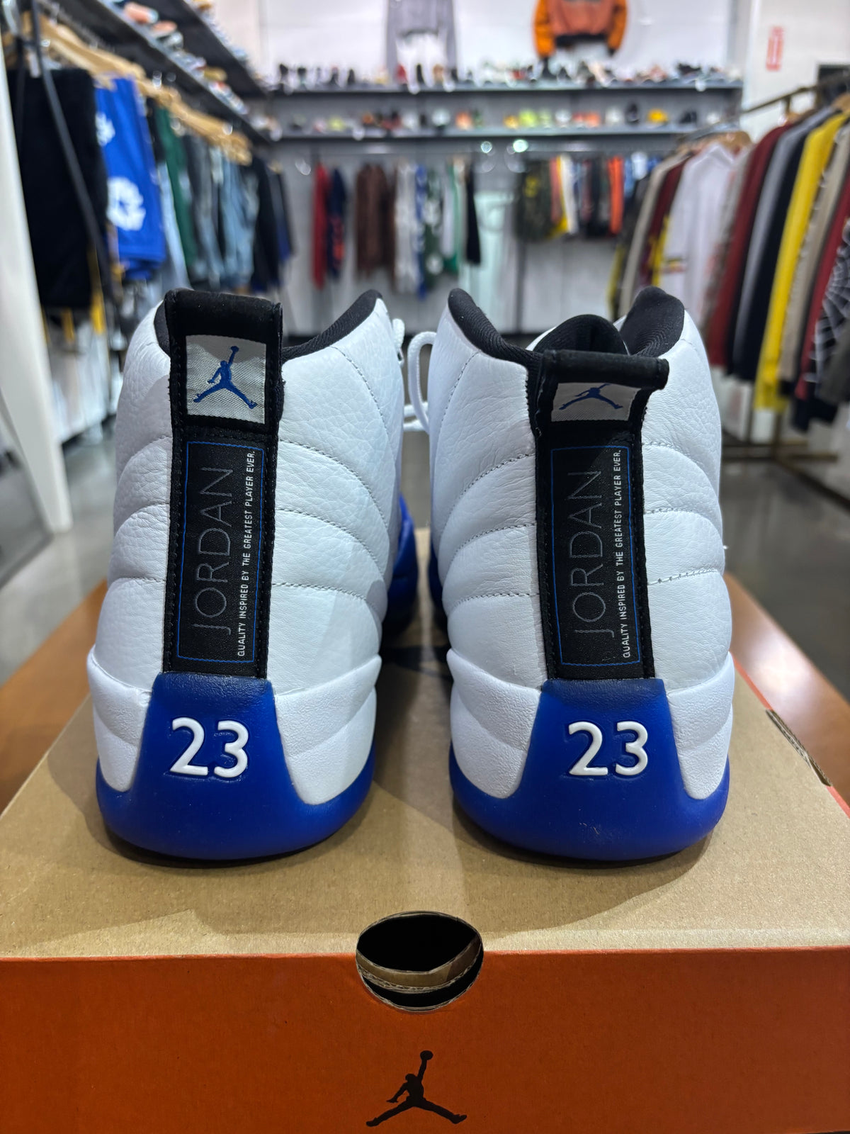 Air Jordan 12 Blueberry