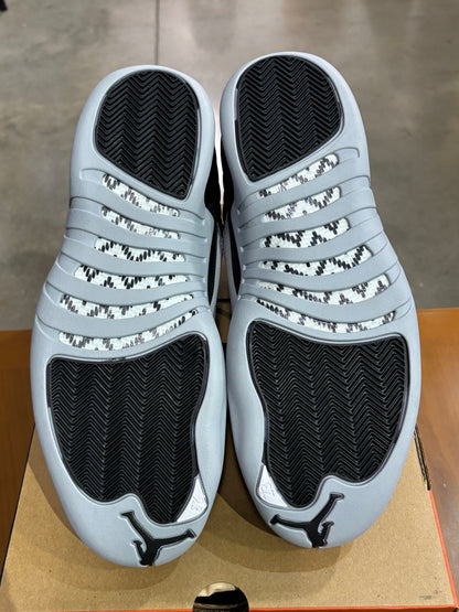 Air Jordan 12 Barons
