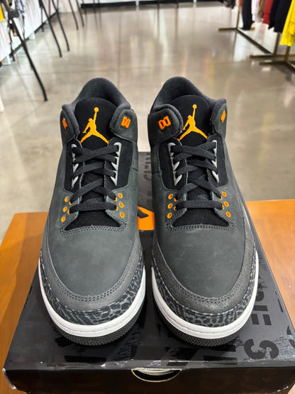 Air Jordan 3 Fear