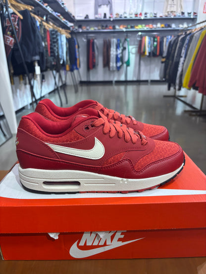 Nike Air Max 1 Texas Ranger City Connect