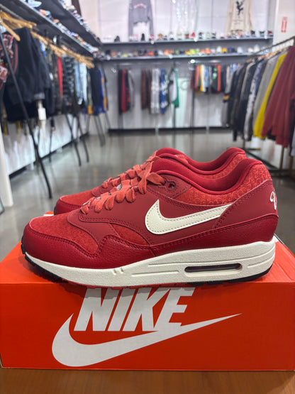 Nike Air Max 1 Texas Ranger City Connect