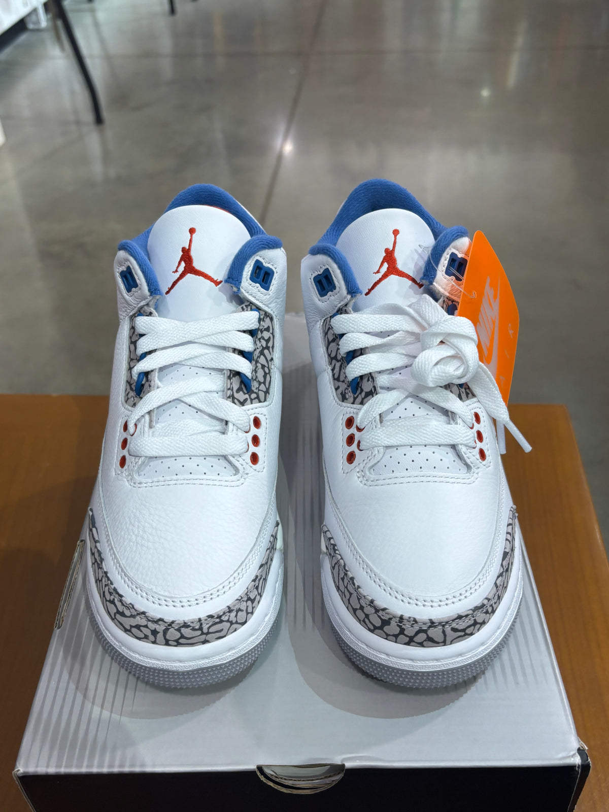Air Jordan 3 True Blue