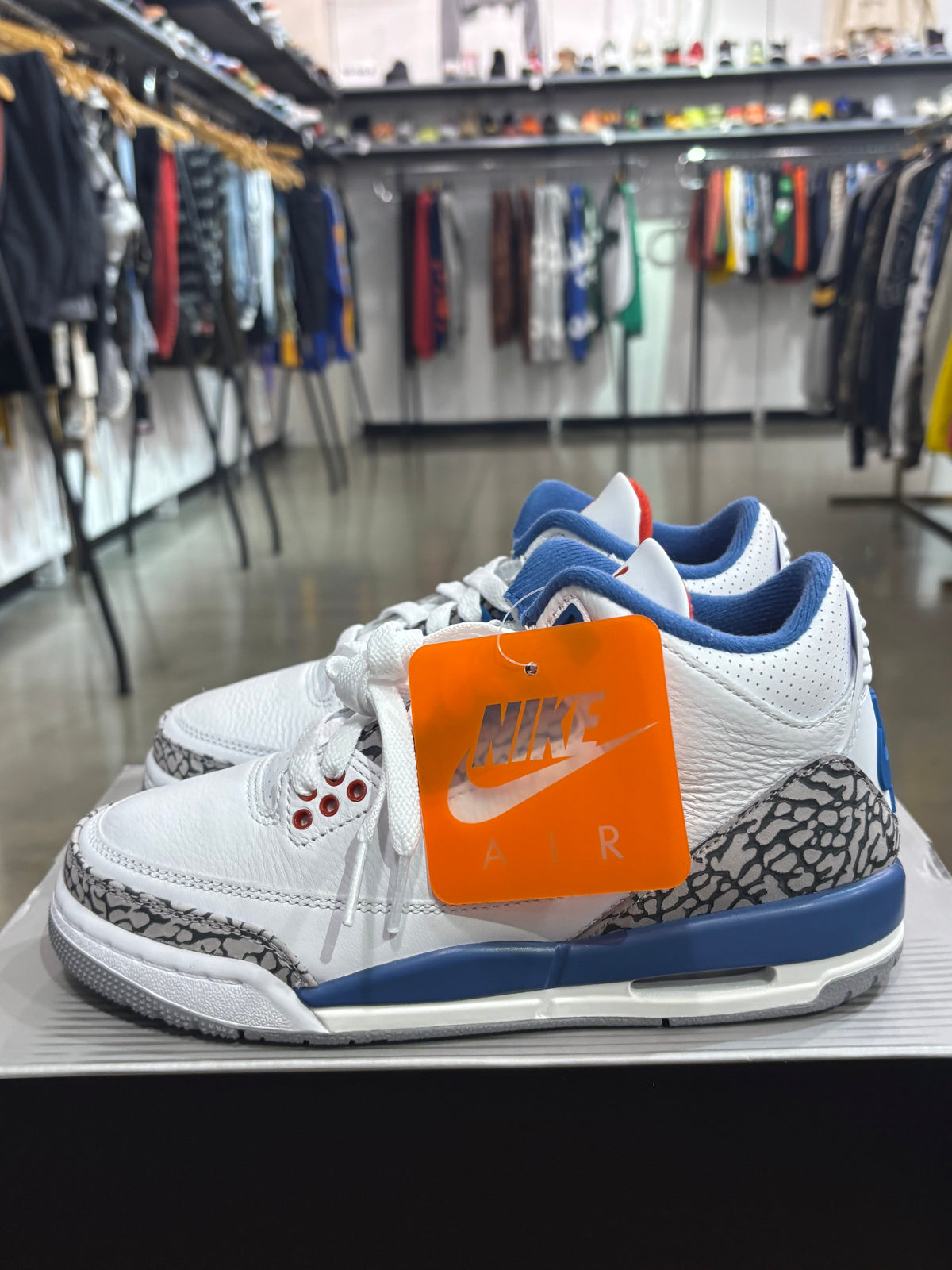 Air Jordan 3 True Blue