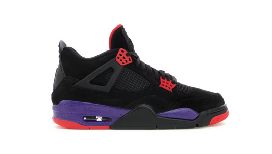 Air Jordan 4 Raptors